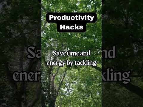🚀 Boost Your Productivity with This Top Hack! #productivityhacks #lifehacks  [Video]