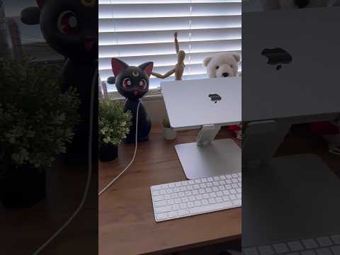 work from home desk setup [Video]
