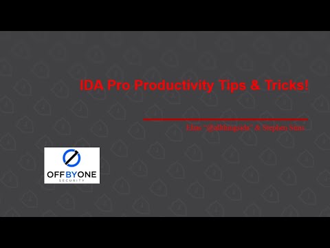 IDA Pro Productivity Tips & Tricks! [Video]