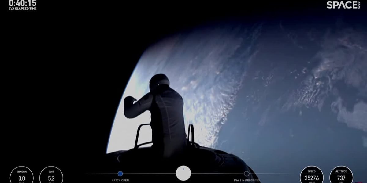 RAW: Billionaire takes part in first private spacewalks [Video]