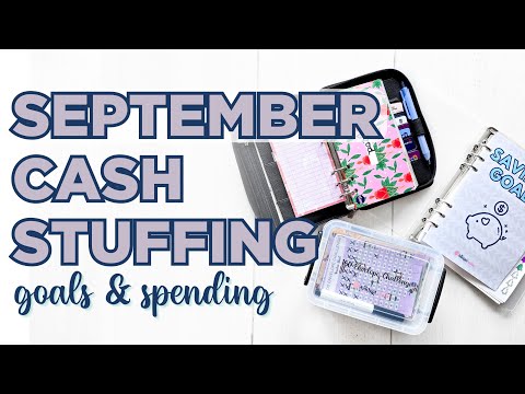 Strategizing My Savings: Reaching Goals And Treating Myself! [Video]