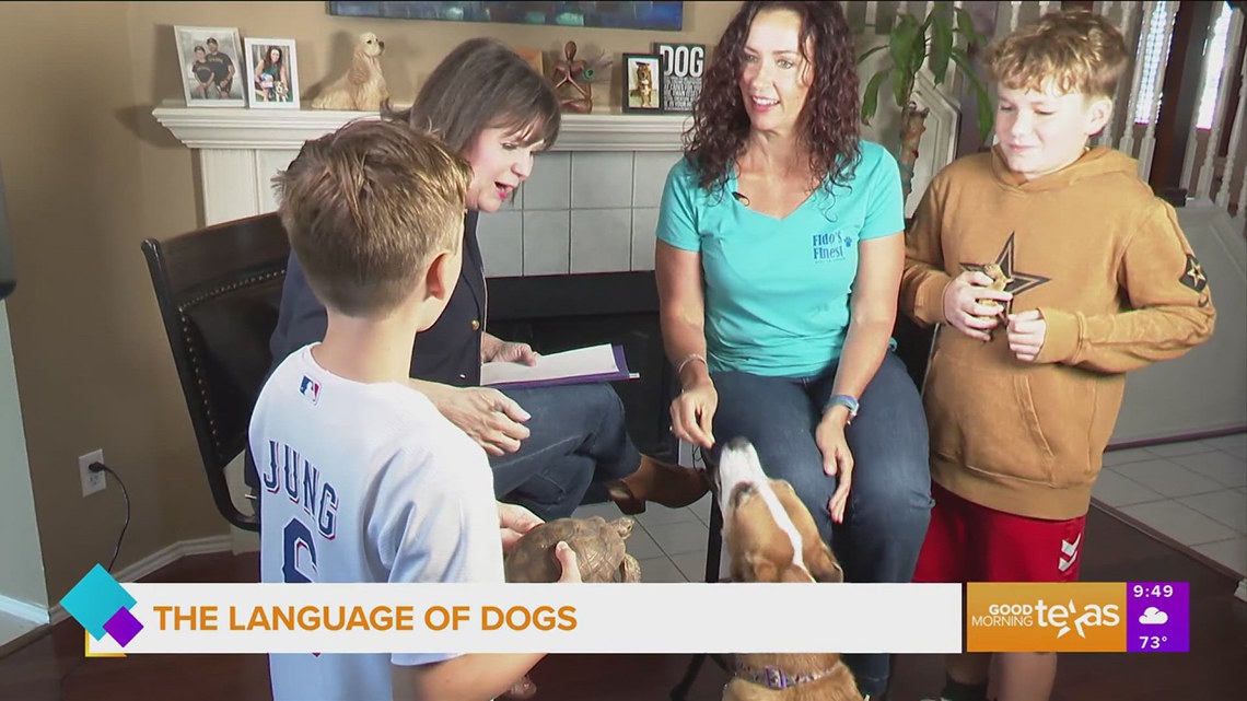 Mompreneur: The language of dogs [Video]